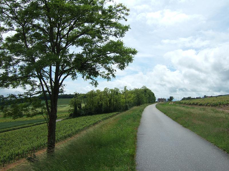 2010-05- (93).JPG
